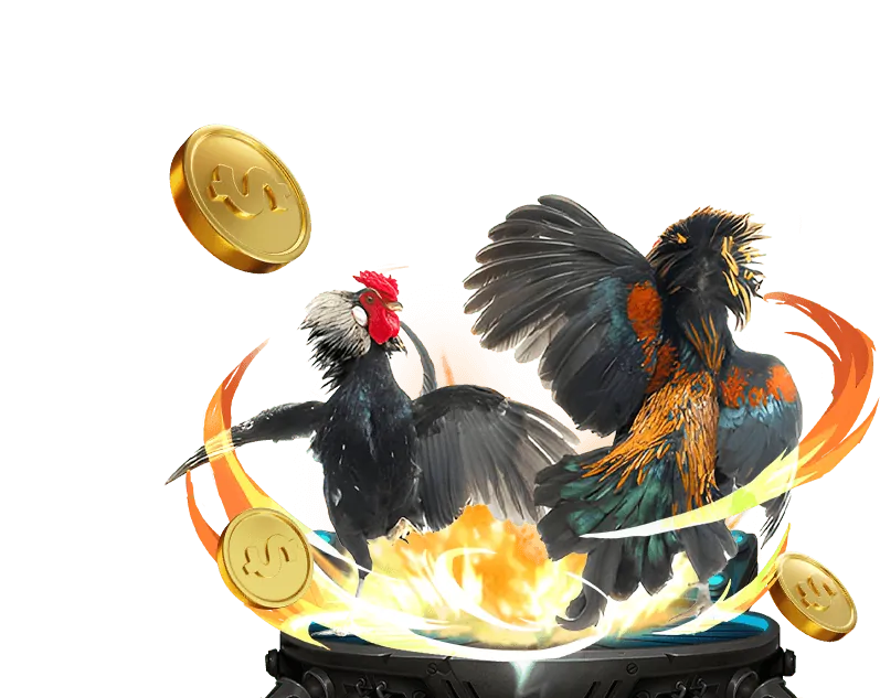 Khuyến Mãi Nạp Lại Hàng Ngày SBOBET